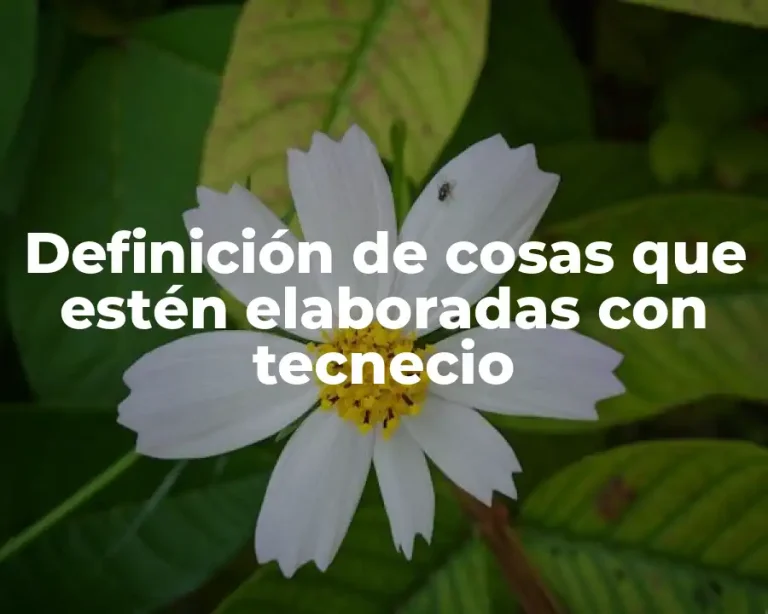 Definición de cosas que estén elaboradas con tecnecio