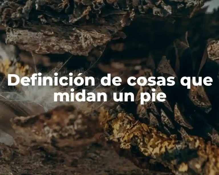 Definición de cosas que midan un pie