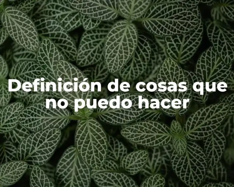 Definición de cosas que no puedo hacer