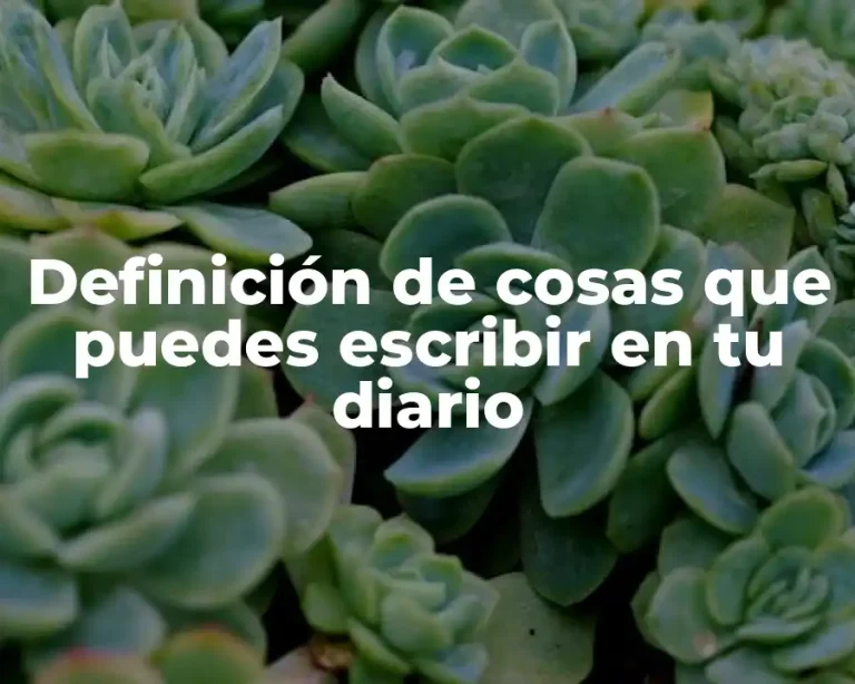 Definición de cosas que puedes escribir en tu diario
