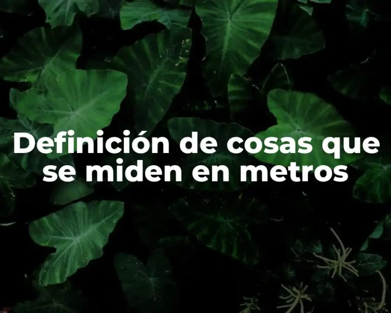 Definición de cosas que se miden en metros