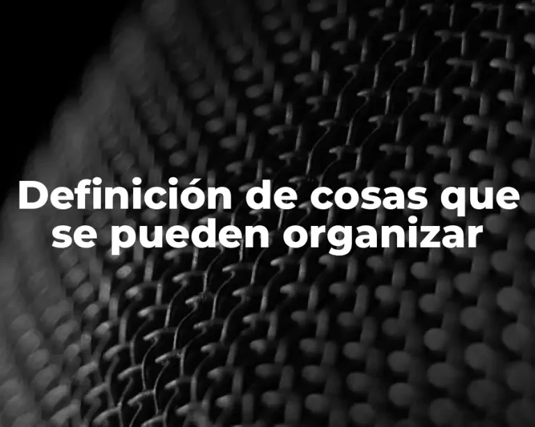 Definición de cosas que se pueden organizar