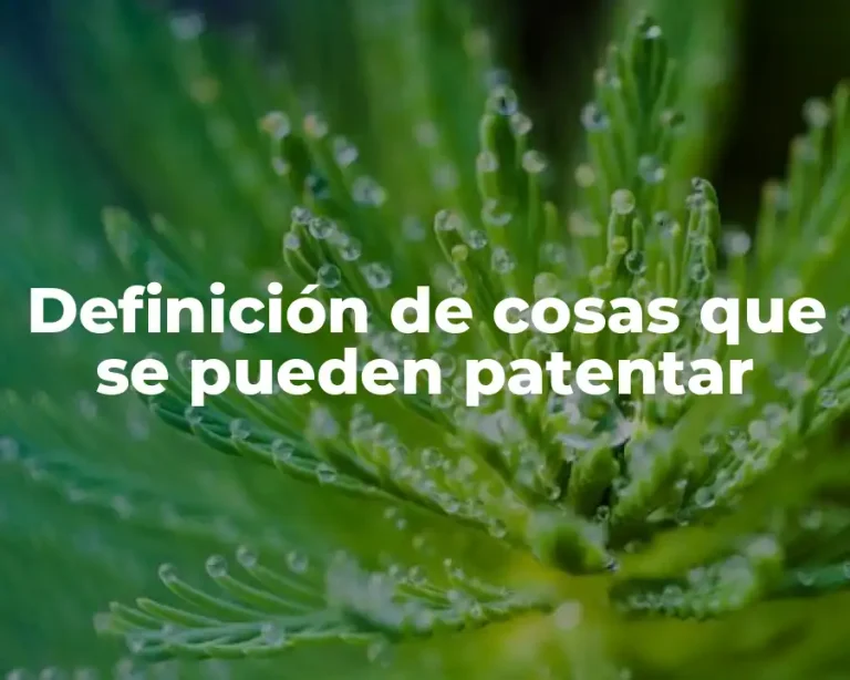 Definición de cosas que se pueden patentar