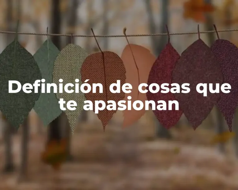 Definición de cosas que te apasionan