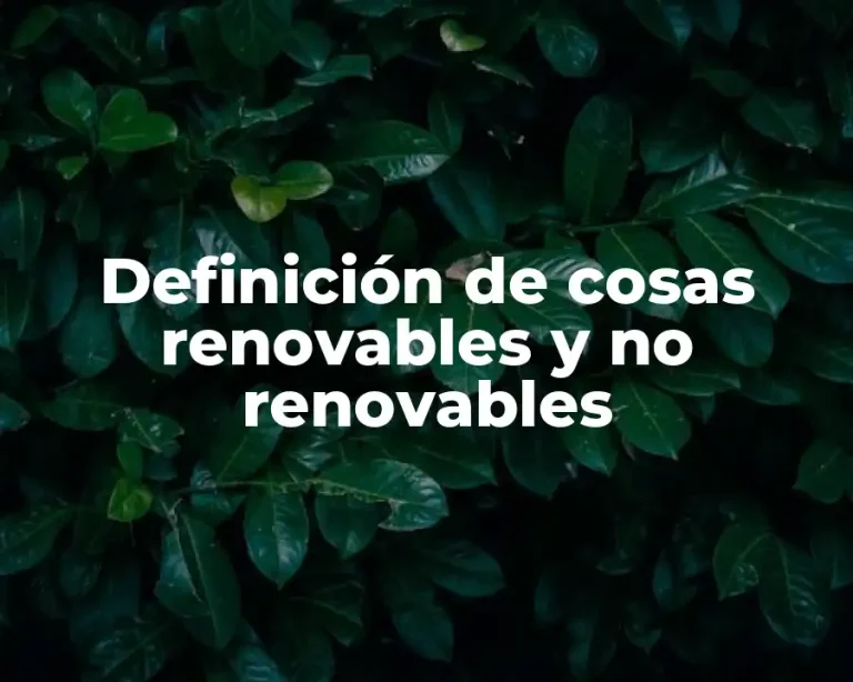 Definición de cosas renovables y no renovables
