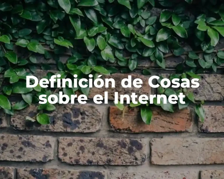 Definición de Cosas sobre el Internet