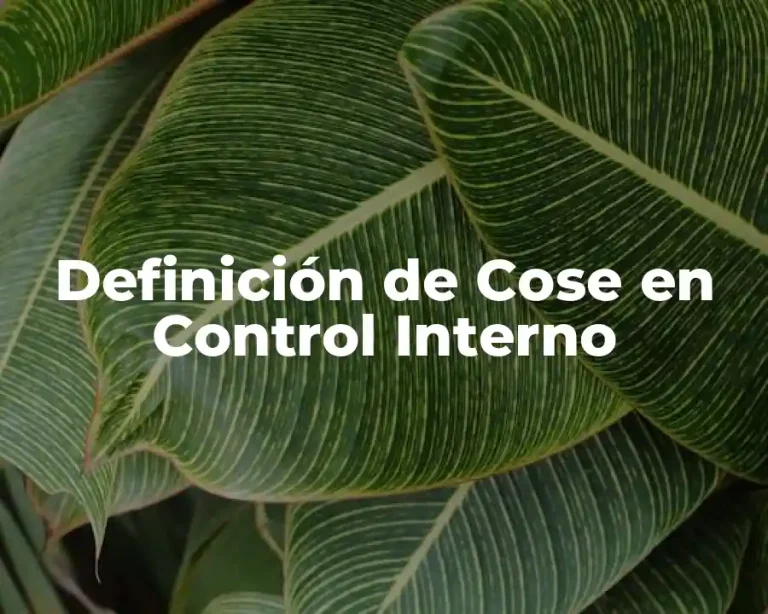 Definición de Cose en Control Interno