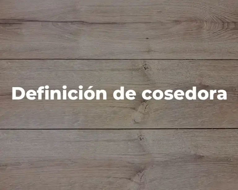 Definición de cosedora