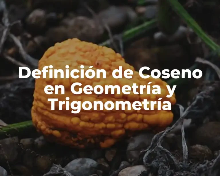 Definición de Coseno en Geometría y Trigonometría