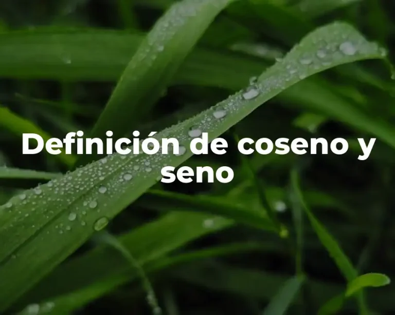 Definición de coseno y seno
