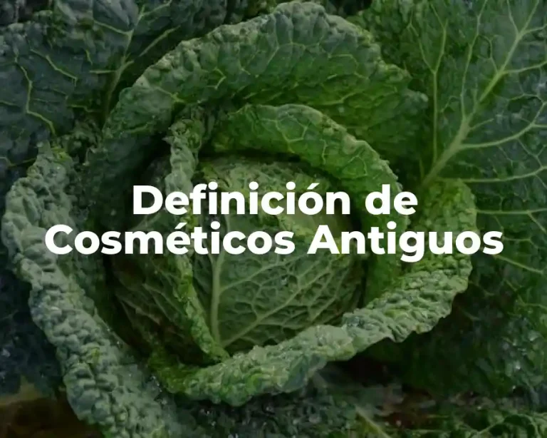Definición de Cosméticos Antiguos
