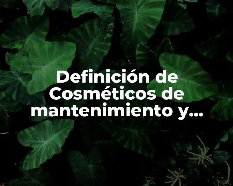 Definición de Cosméticos de mantenimiento y protección