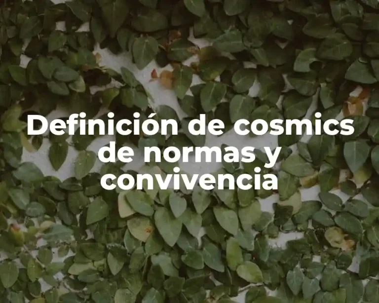 Definición de cosmics de normas y convivencia