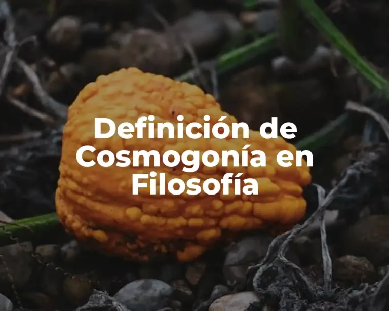 Definición de Cosmogonía en Filosofía