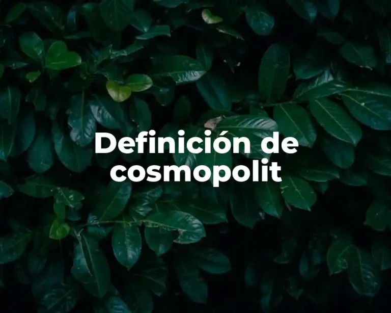 Definición de cosmopolit