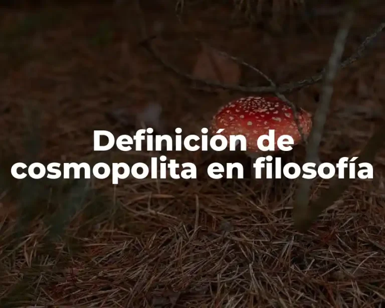 Definición de cosmopolita en filosofía