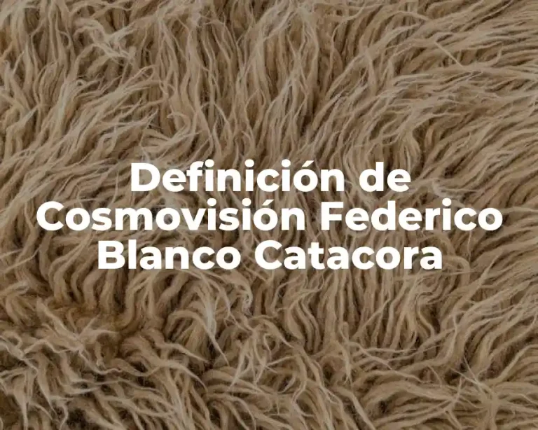 Definición de Cosmovisión Federico Blanco Catacora