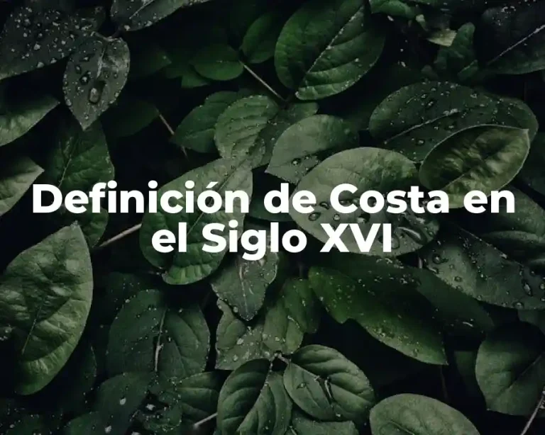 Definición de Costa en el Siglo XVI