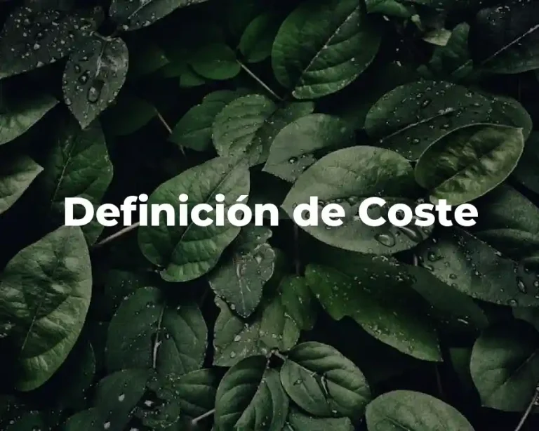 Definición de Coste