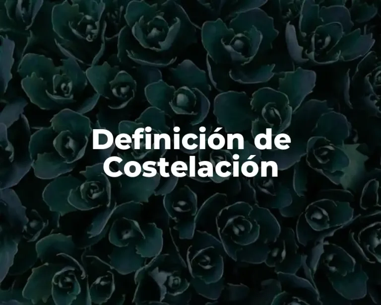 Definición de Costelación