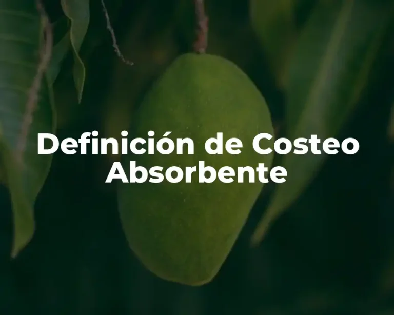 Definición de Costeo Absorbente