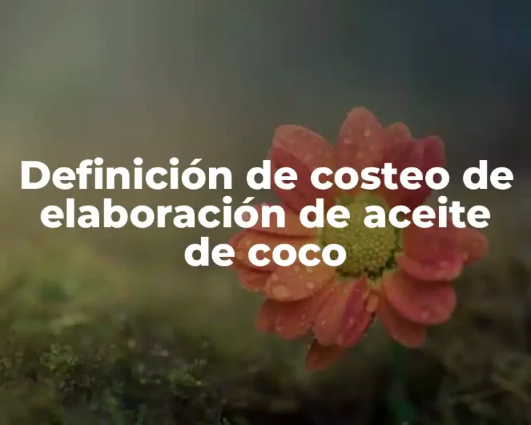 Definición de costeo de elaboración de aceite de coco