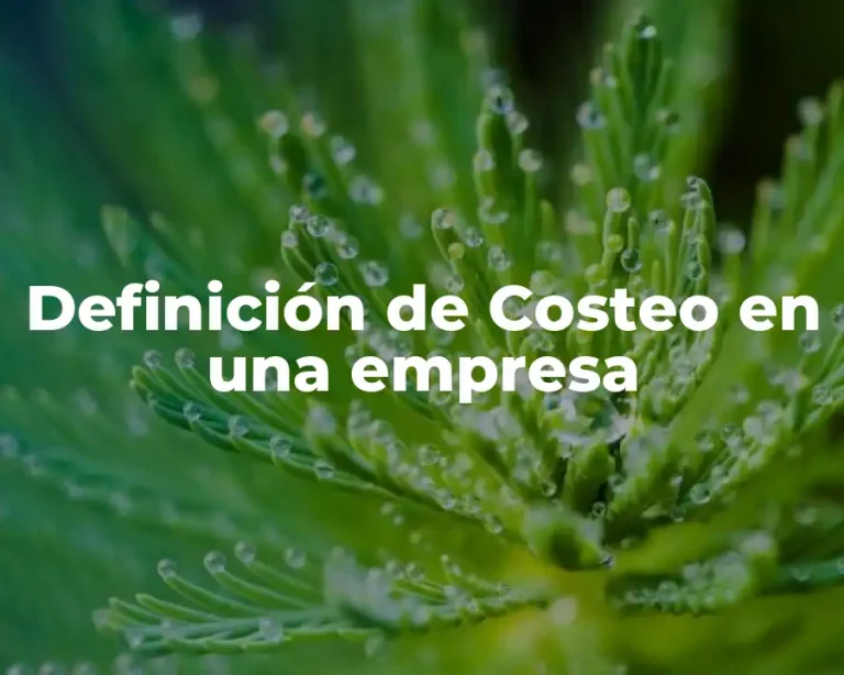 Definición de Costeo en una empresa