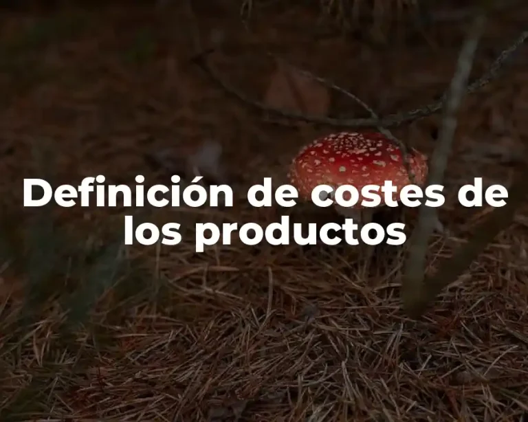 Definición de costes de los productos