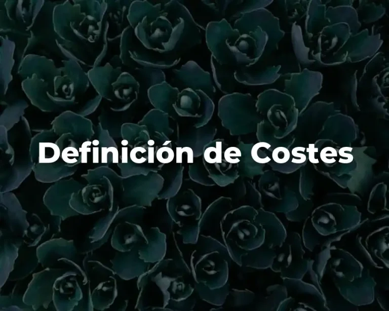Definición de Costes