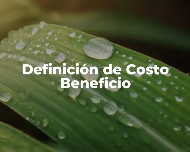 Definición de Costo Beneficio