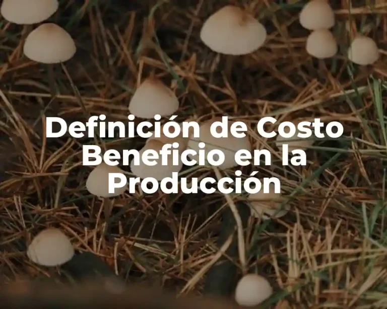 Definición de Costo Beneficio en la Producción