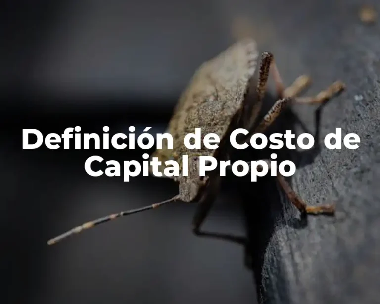 Definición de Costo de Capital Propio