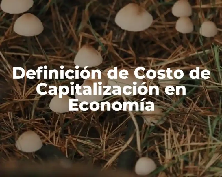 Definición de Costo de Capitalización en Economía
