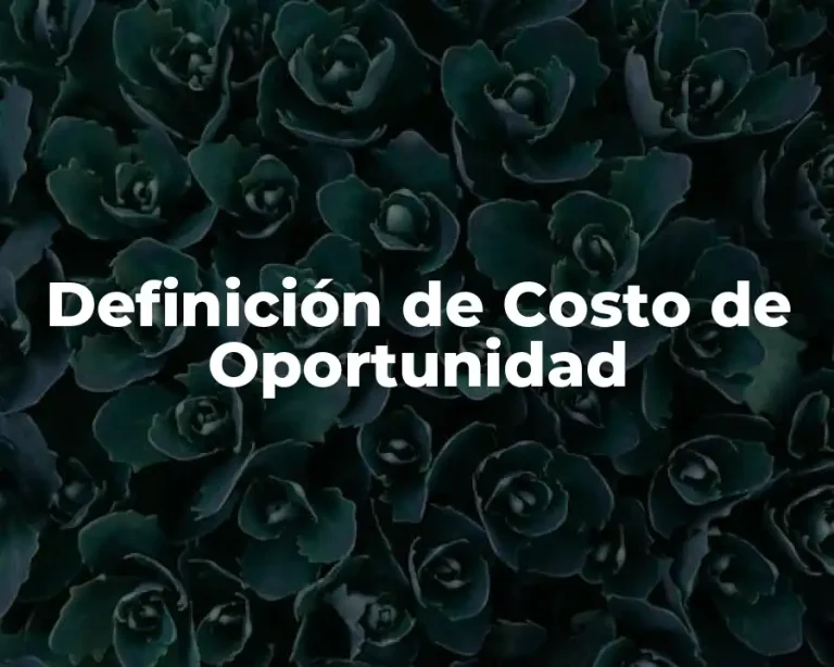 Definición de Costo de Oportunidad