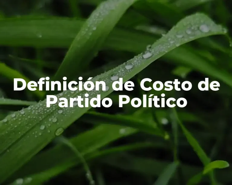 Definición de Costo de Partido Político