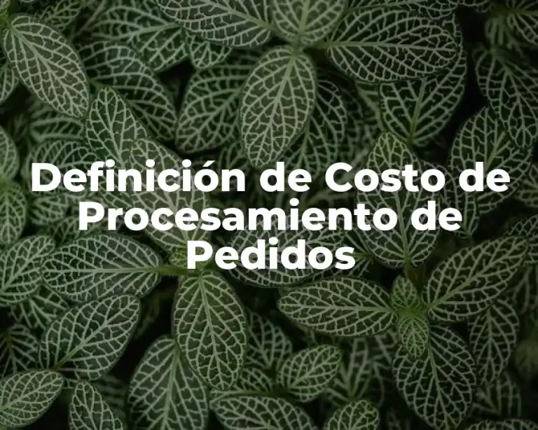 Definición de Costo de Procesamiento de Pedidos