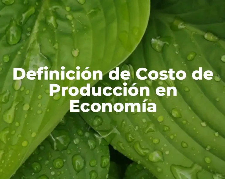 Definición de Costo de Producción en Economía