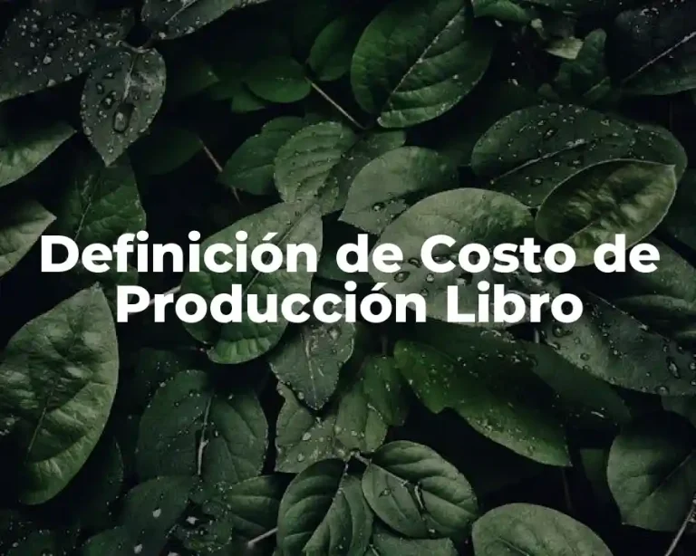 Definición de Costo de Producción Libro