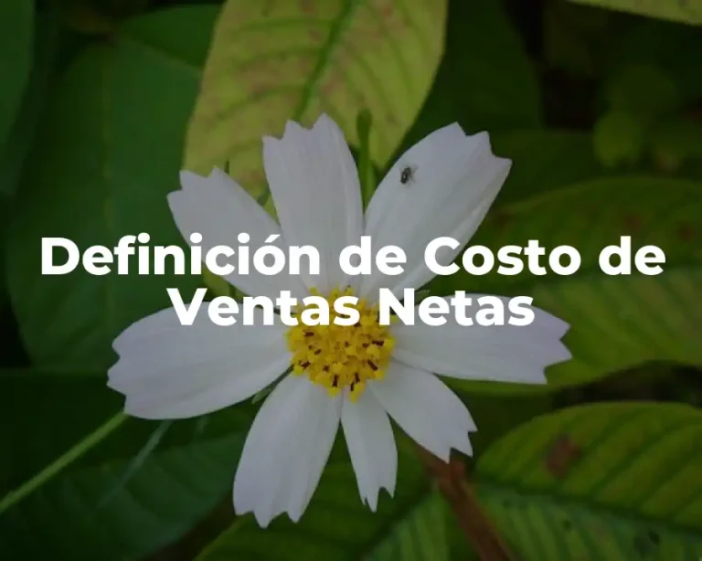 Definición de Costo de Ventas Netas