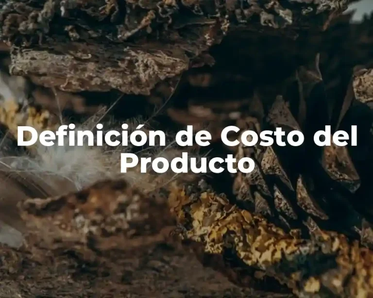 Definición de Costo del Producto