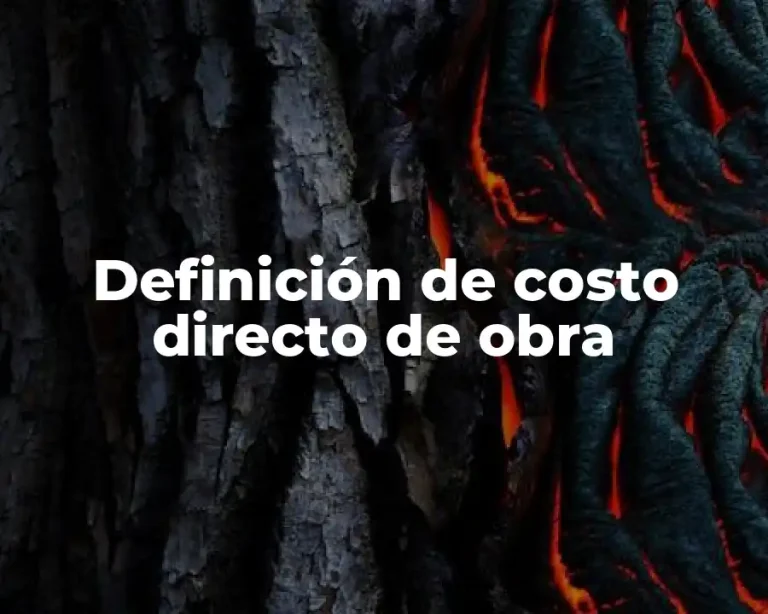 Definición de costo directo de obra