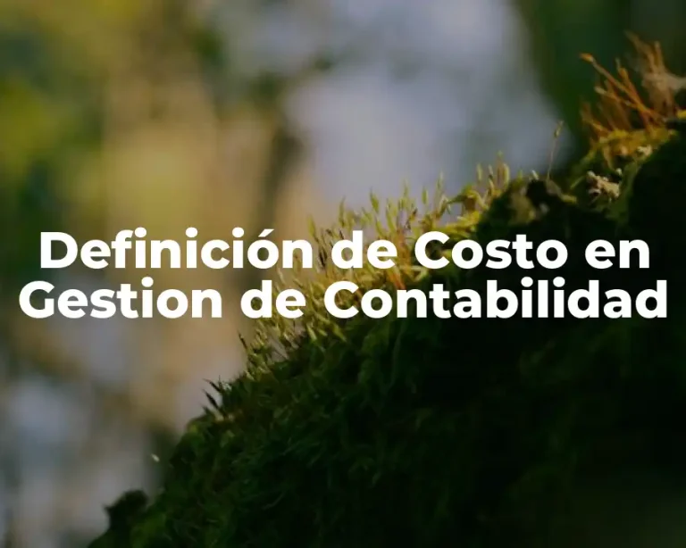 Definición de Costo en Gestion de Contabilidad