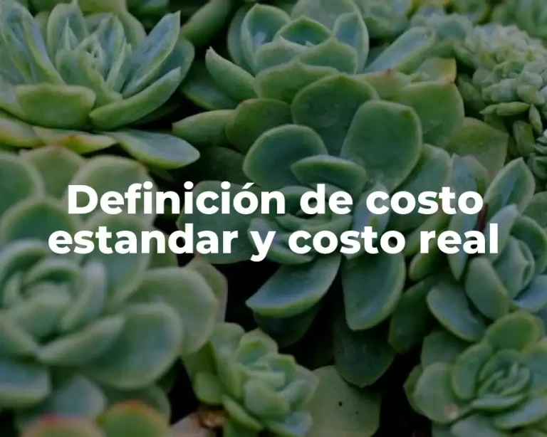 Definición de costo estandar y costo real