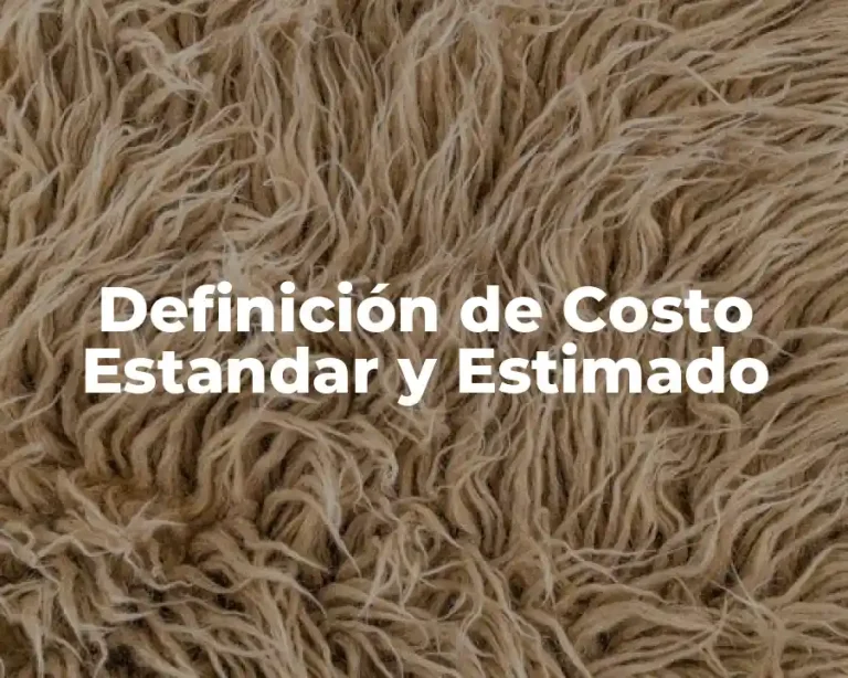 Definición de Costo Estandar y Estimado