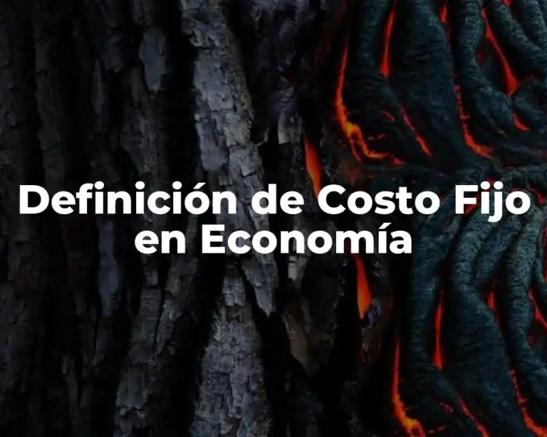 Definición de Costo Fijo en Economía