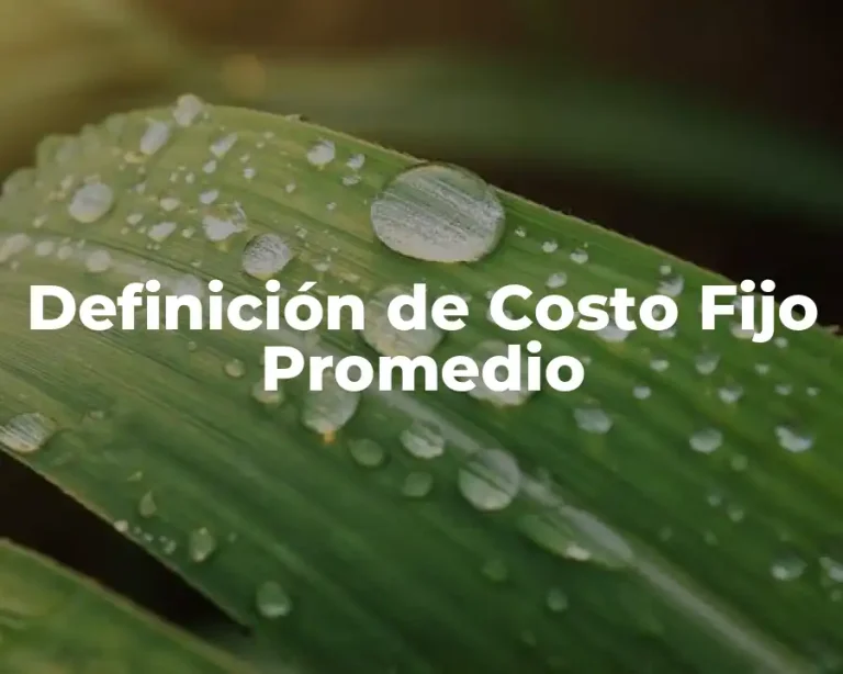 Definición de Costo Fijo Promedio