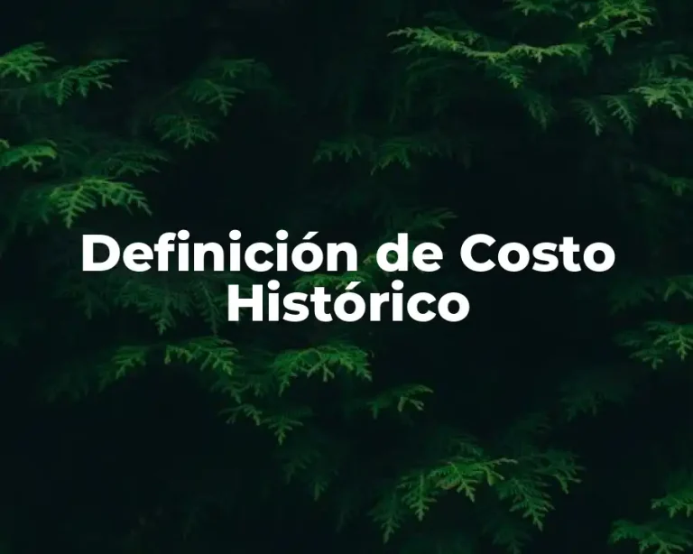 Definición de Costo Histórico
