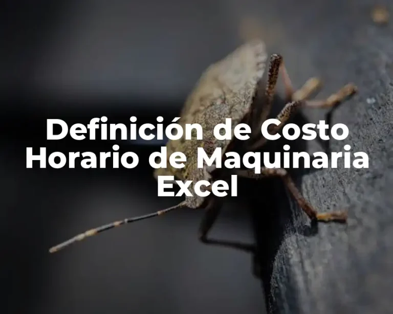 Definición de Costo Horario de Maquinaria Excel