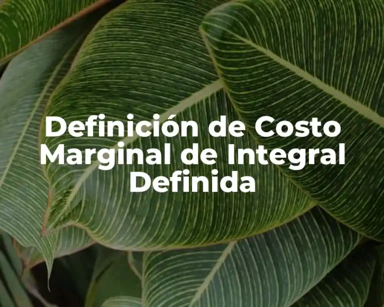 Definición de Costo Marginal de Integral Definida