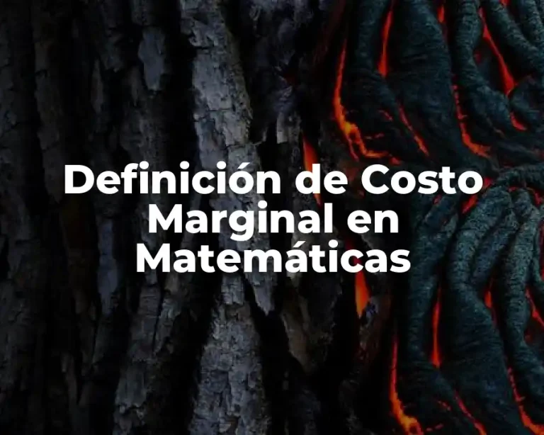 Definición de Costo Marginal en Matemáticas